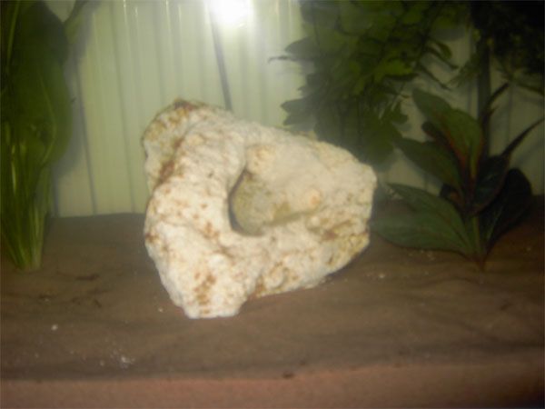 PICT0030.jpg