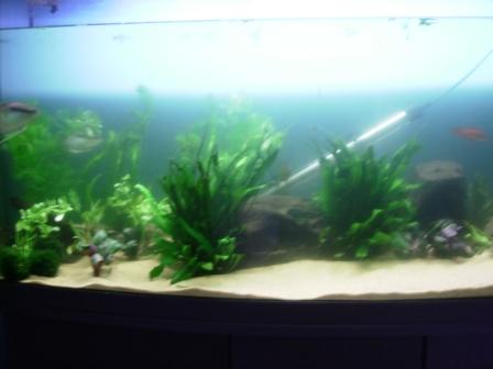 PICT0063.JPG