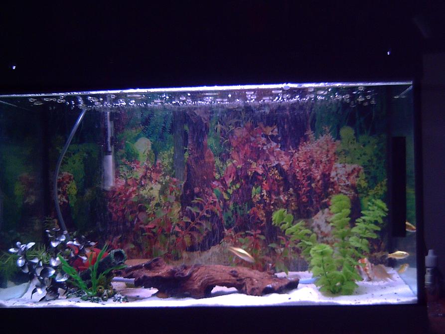 PICT0082.JPG