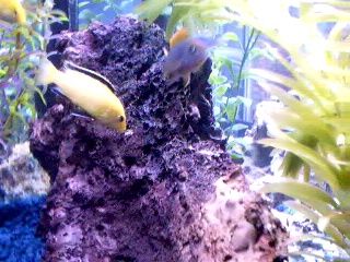 Pict0111.JPG