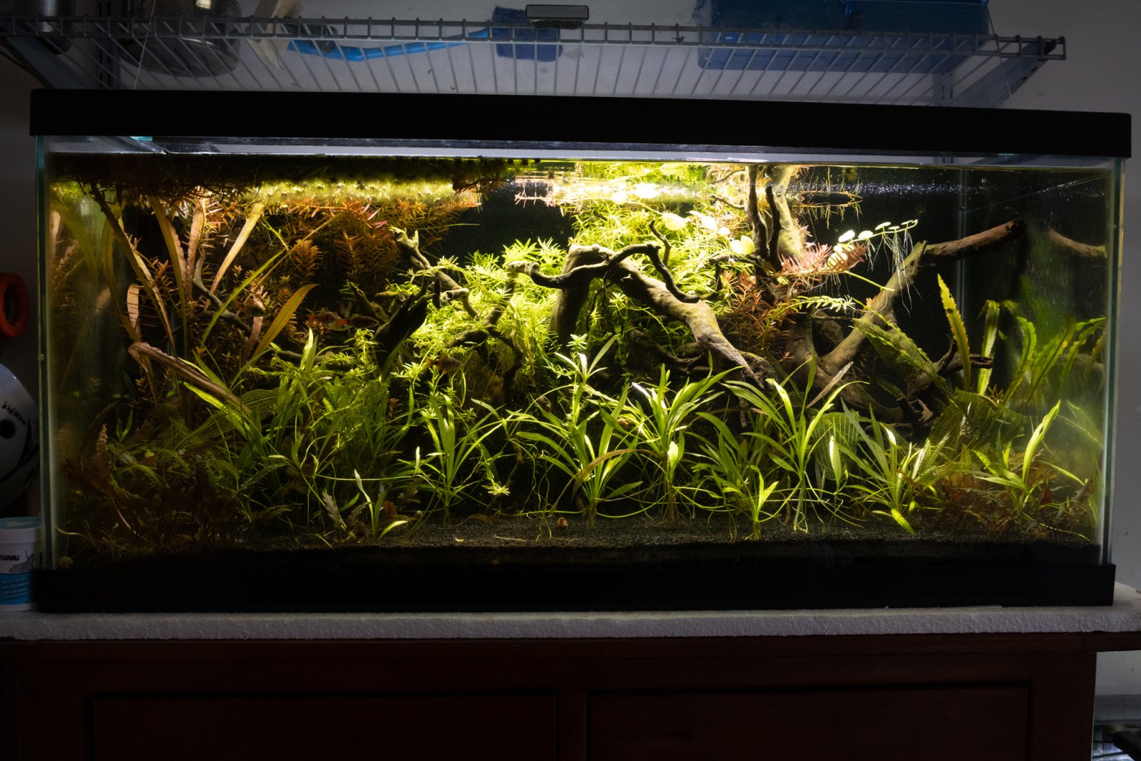 picture of the day-08.jpg