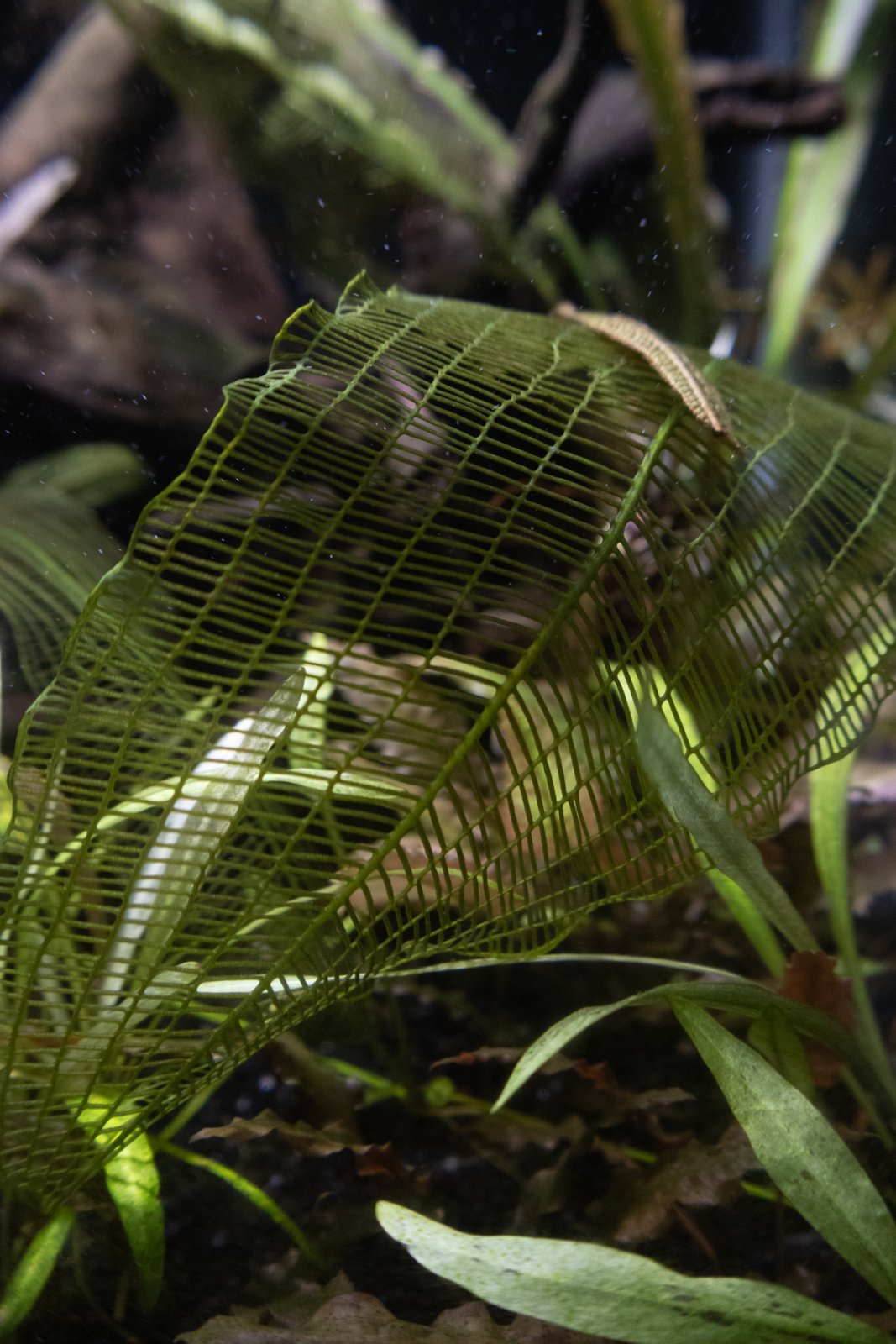 picture of the day-09.jpg