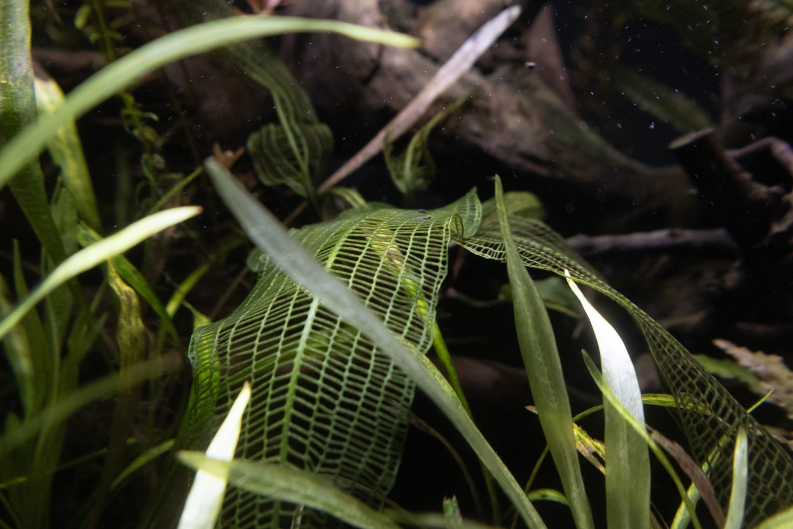 picture of the day-10.jpg