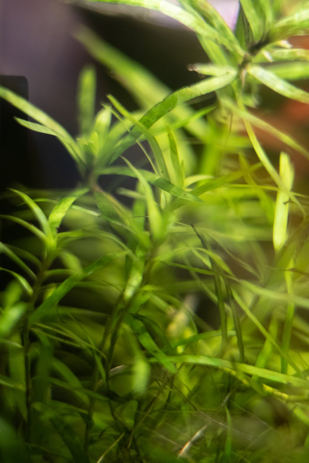 picture of the day-42.jpg