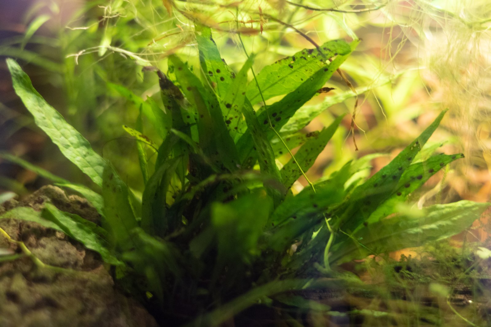 picture of the day-43.jpg