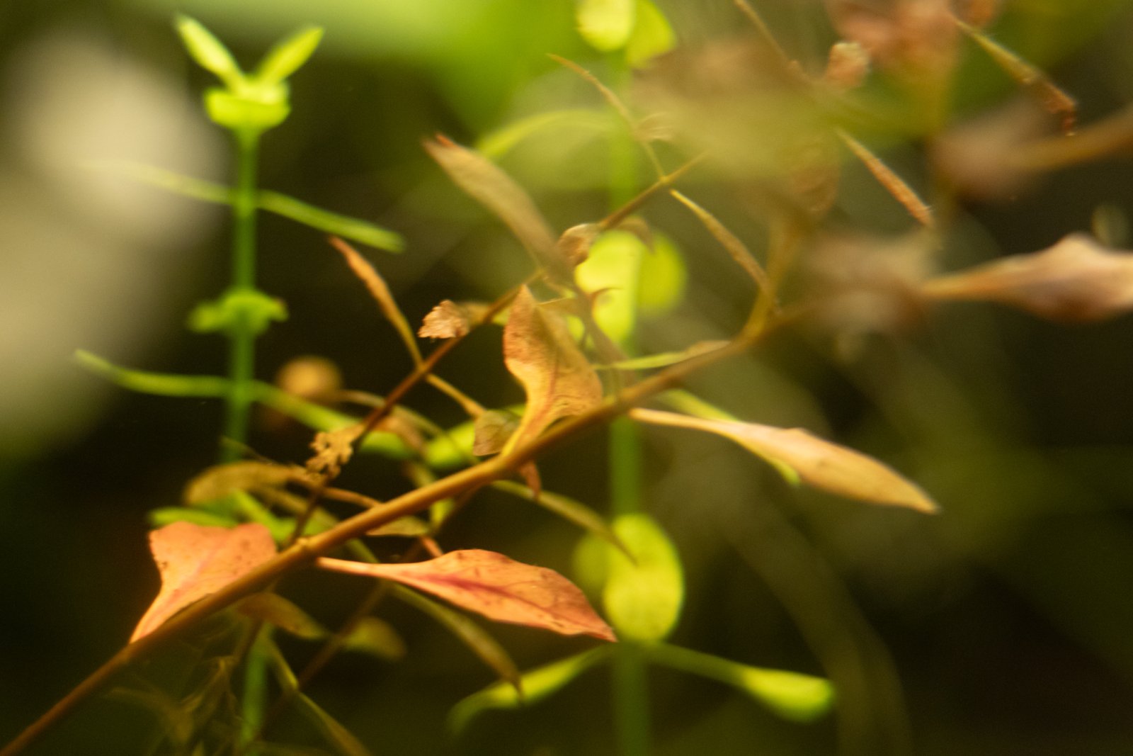 picture of the day-44.jpg