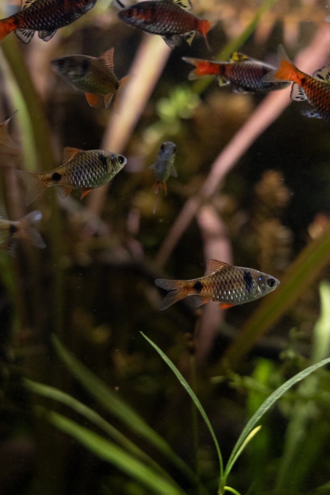 picture of the day-47.jpg