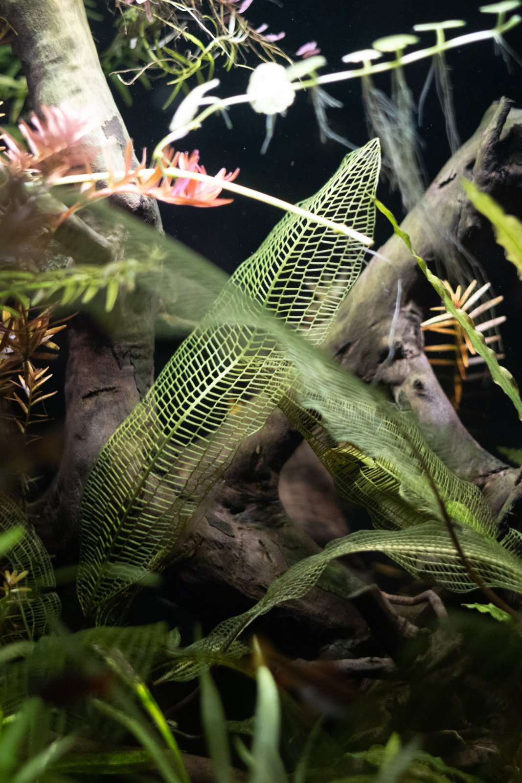 picture of the day-55.jpg