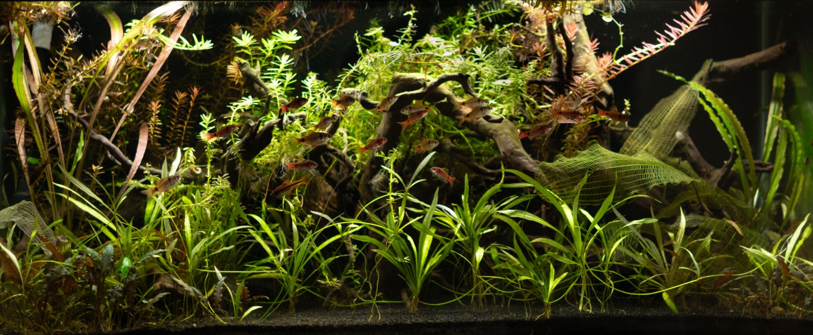 picture of the day-78.jpg