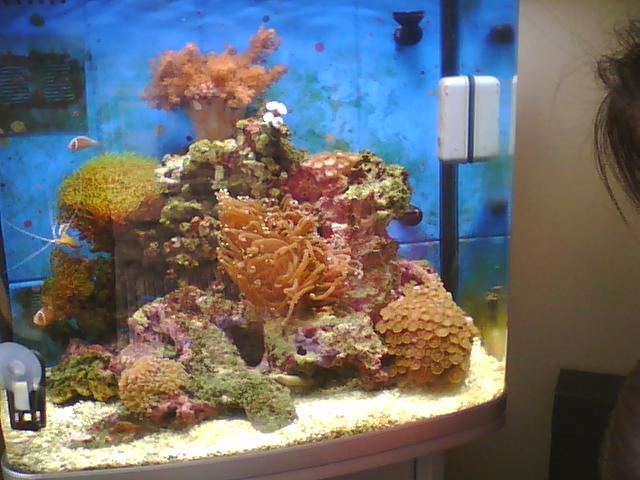 Picture0123.jpg