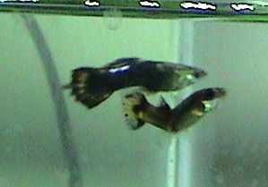 Picture_002_edited.jpg