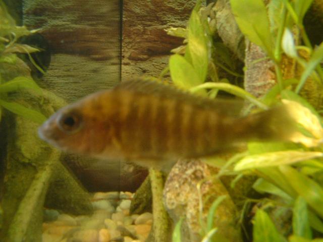 Picture_019.jpg