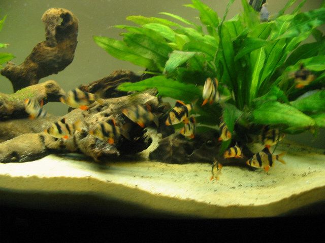 Picture_021.jpg