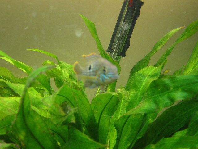 Picture_022.jpg