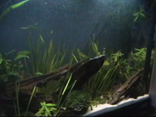 Picture_023.jpg