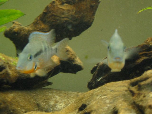Picture_027.jpg