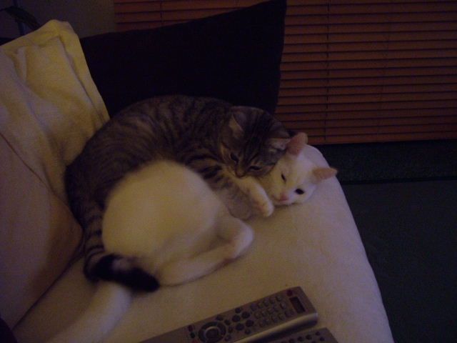 Picture_033.jpg