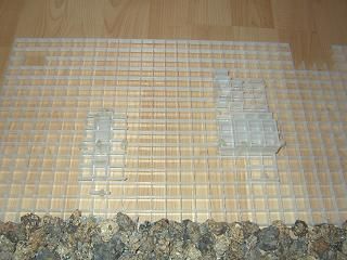 Picture_033.jpg