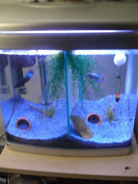 Picture_070__Small_.jpg