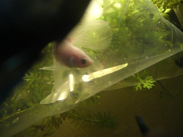 Picture_135__Small_.jpg