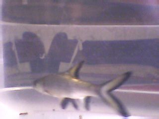 Picture_139.jpg