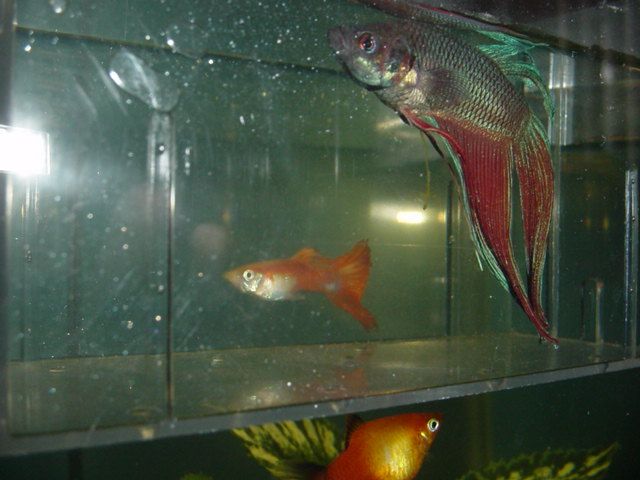 Picture_713.jpg