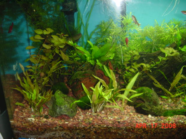 plants_016.jpg