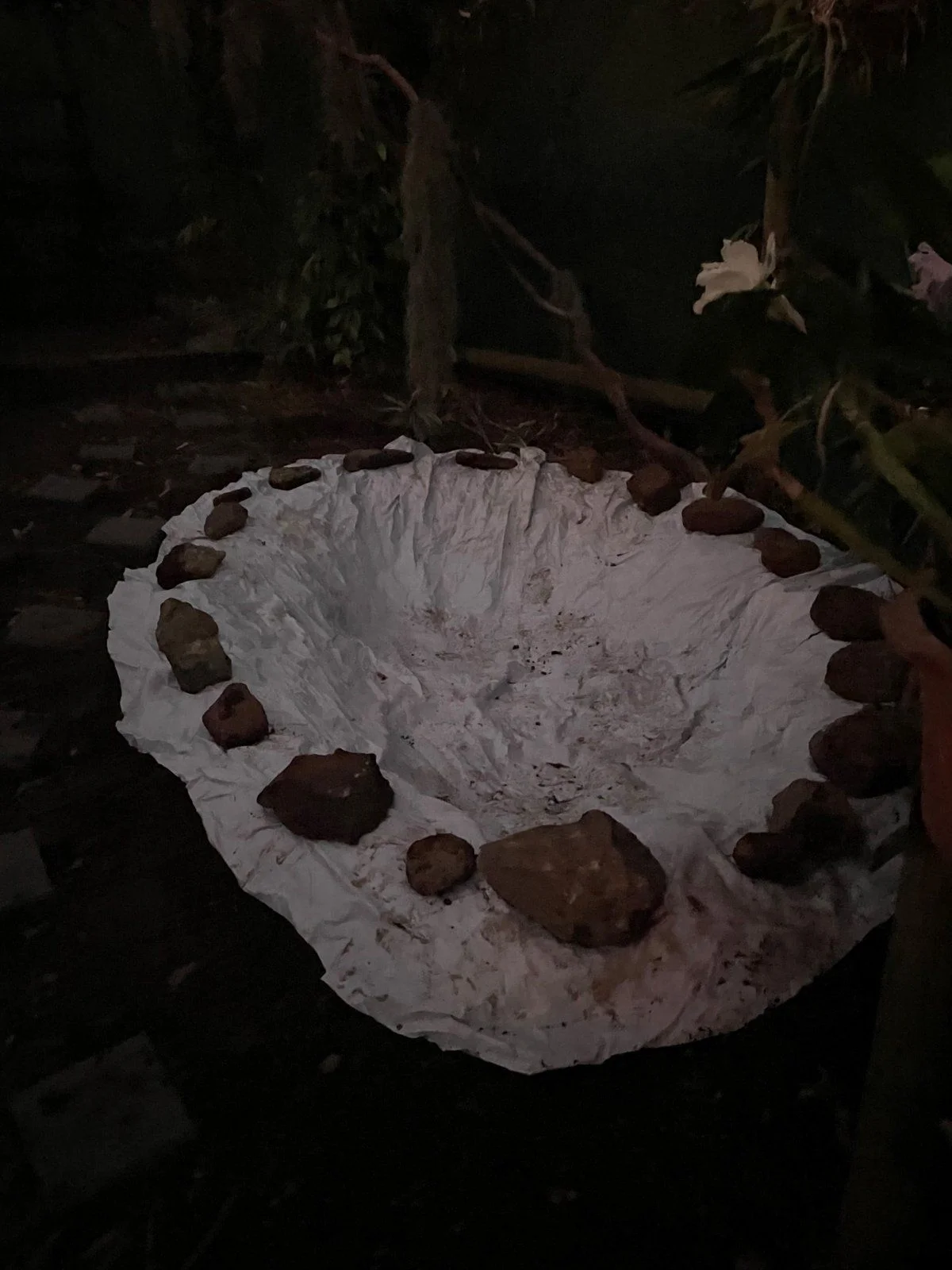 pond 1.jpg