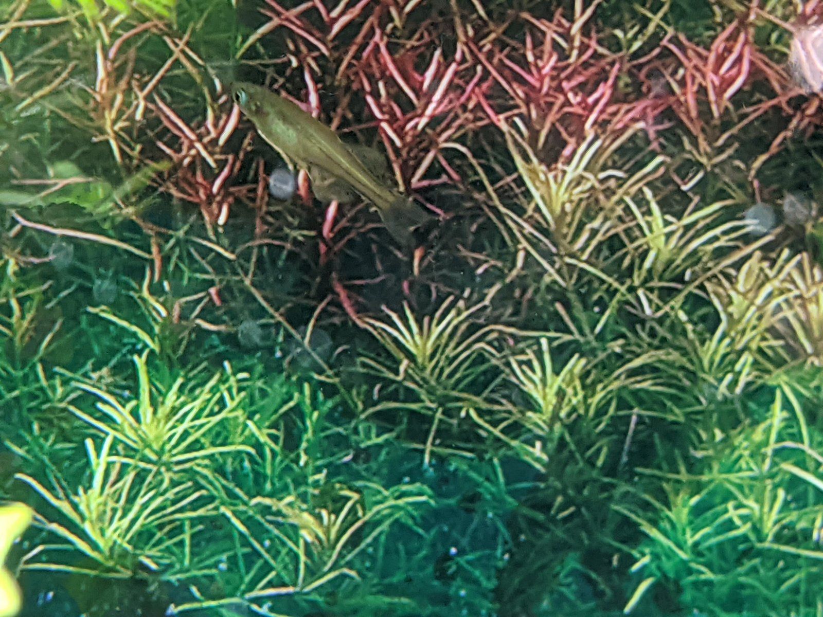 PXL_20201118_141940517.jpg