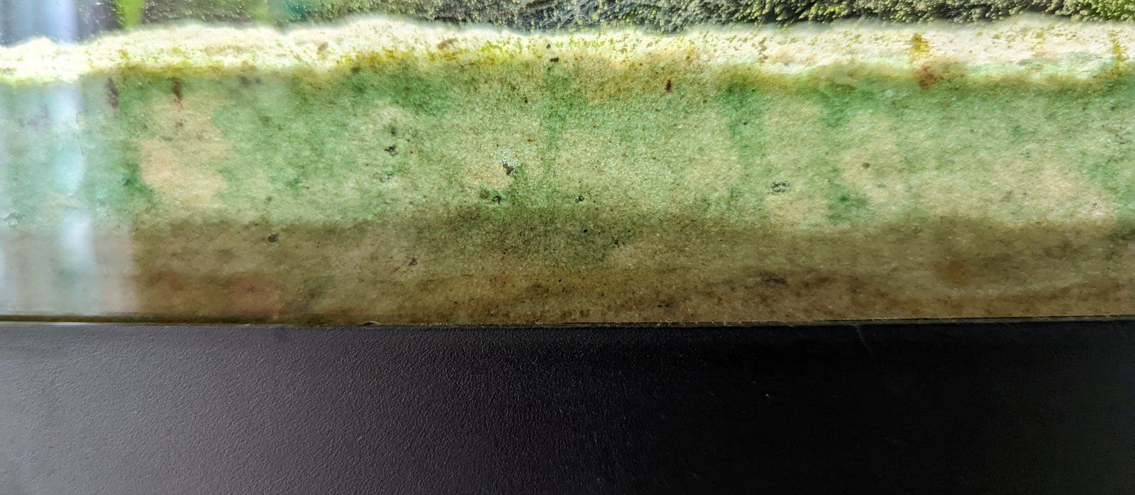 PXL_20220723_110620131.jpg