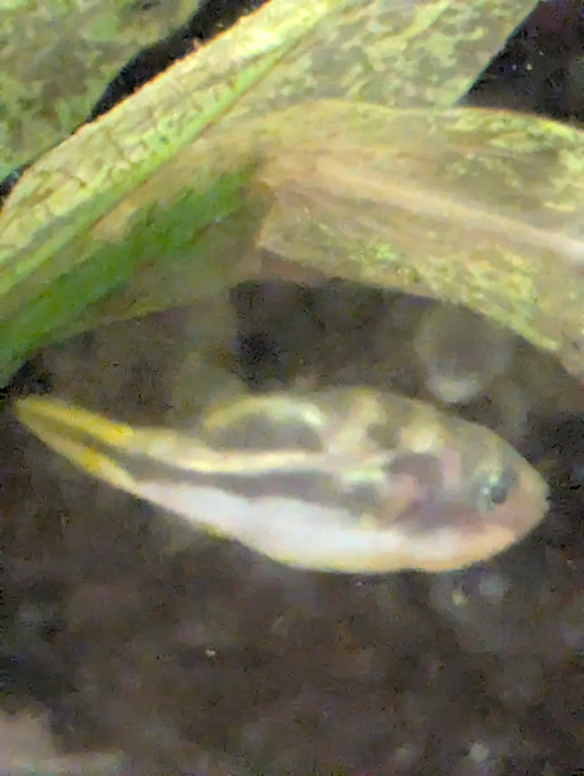 PXL_20261006_061844939.webp