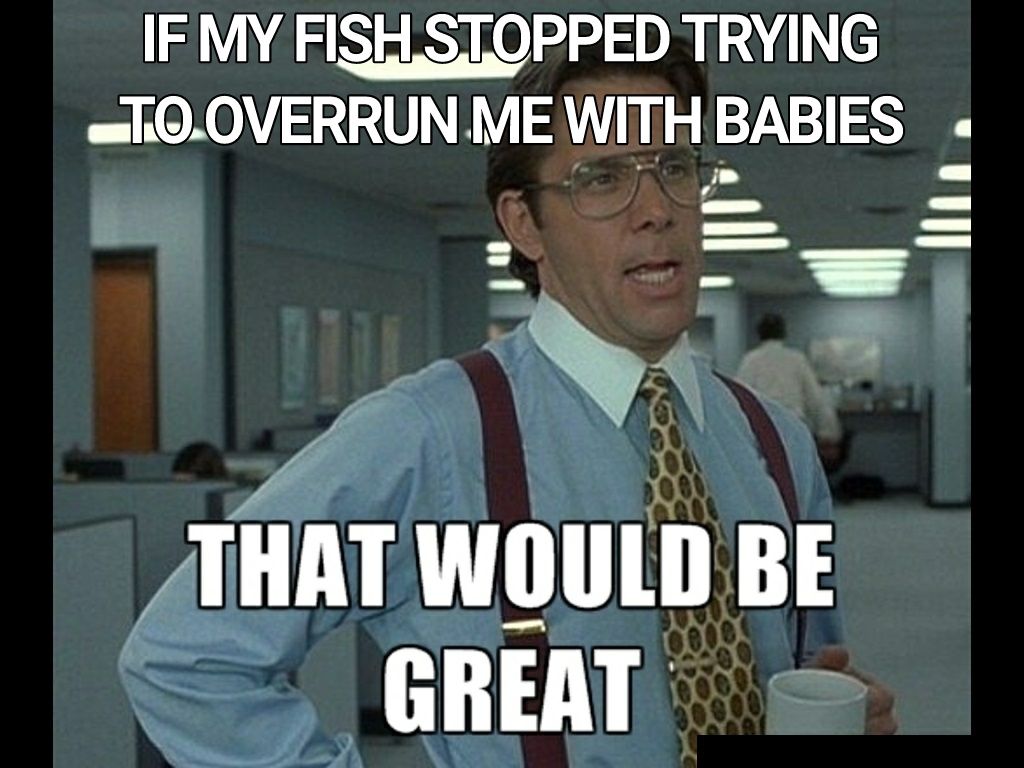 q1g68.jpg