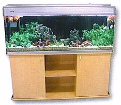 R2_150_1_.jpg
