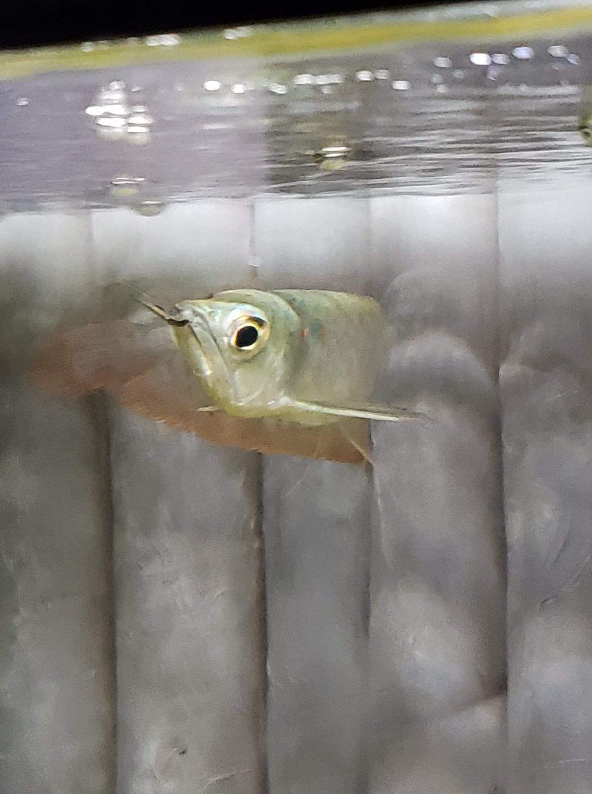 received_2344010702555932.jpeg