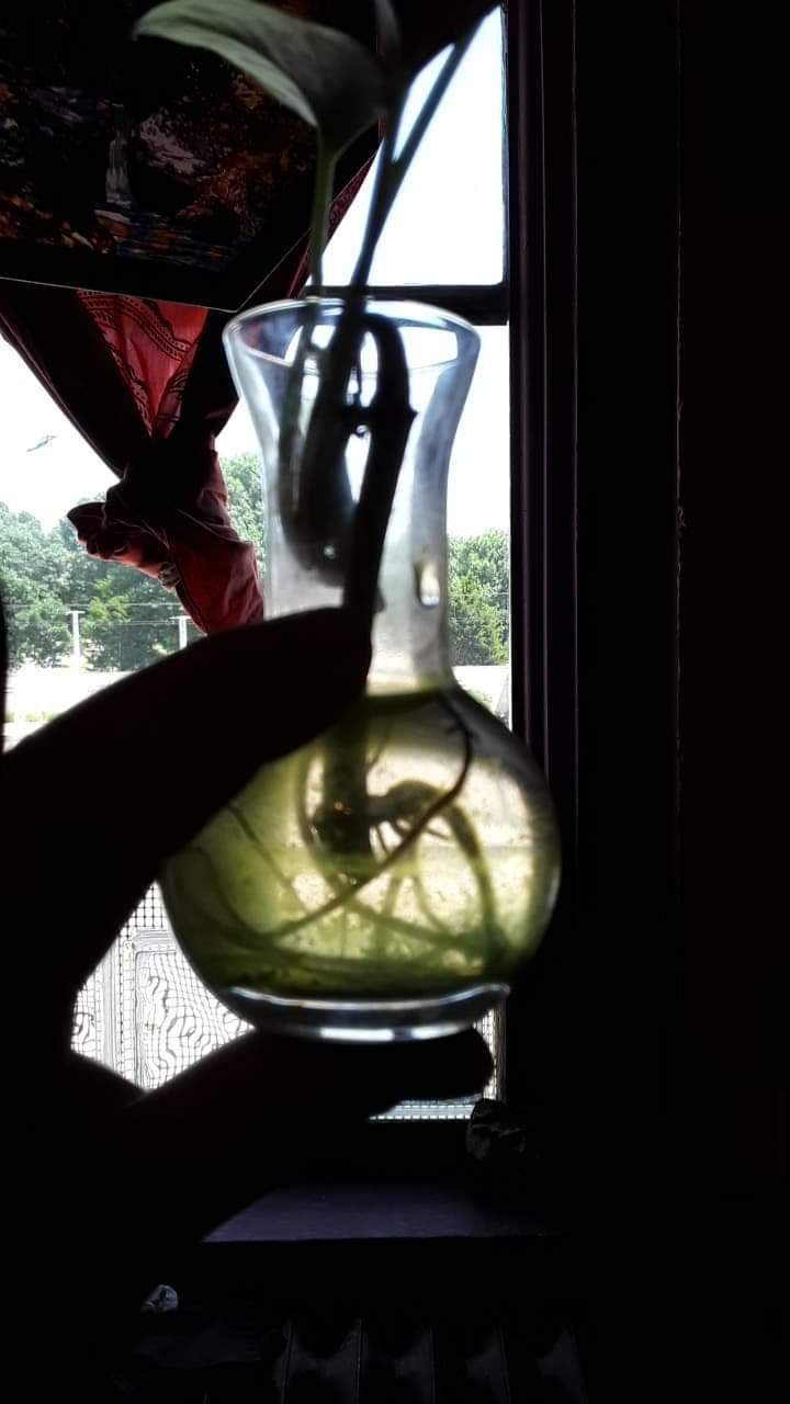 received_264987211220803.jpeg
