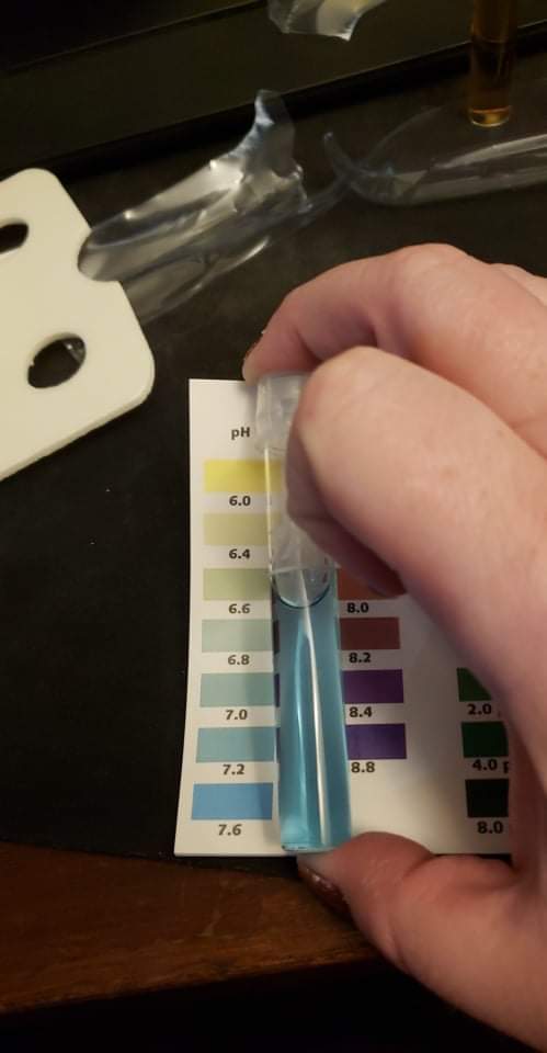 received_279761207023341.jpeg