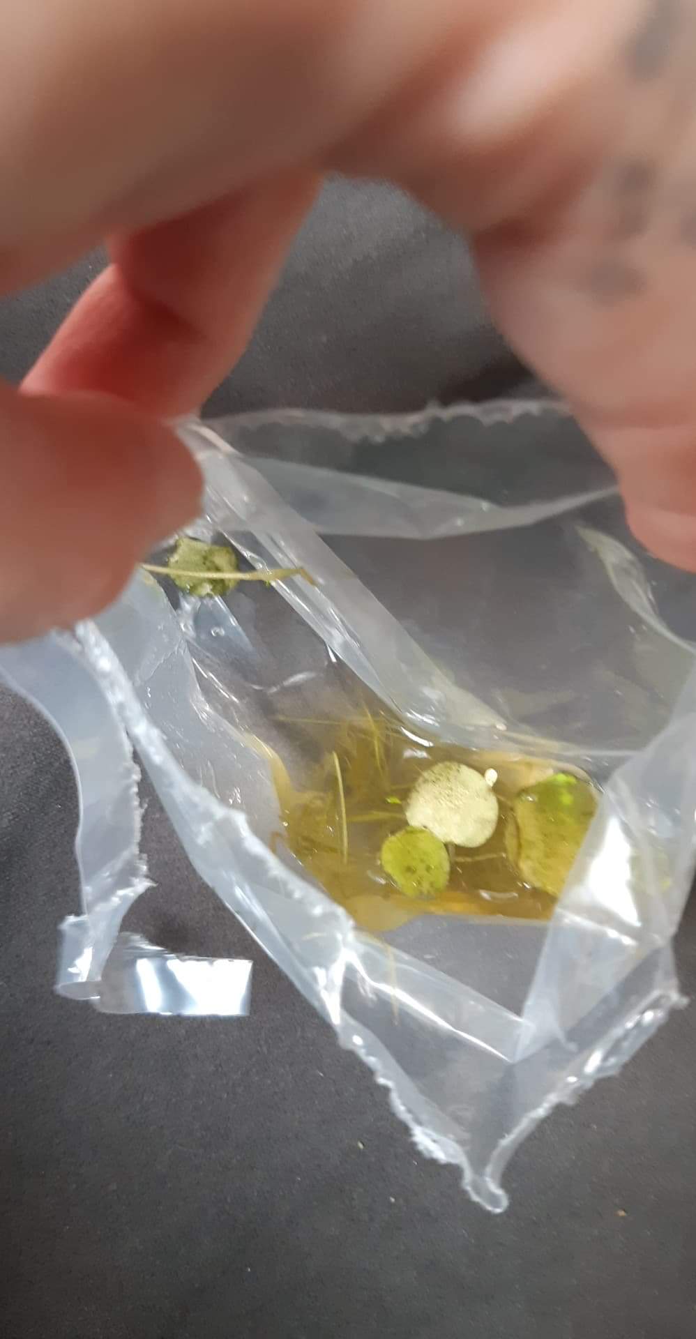 received_588931028700876.jpeg