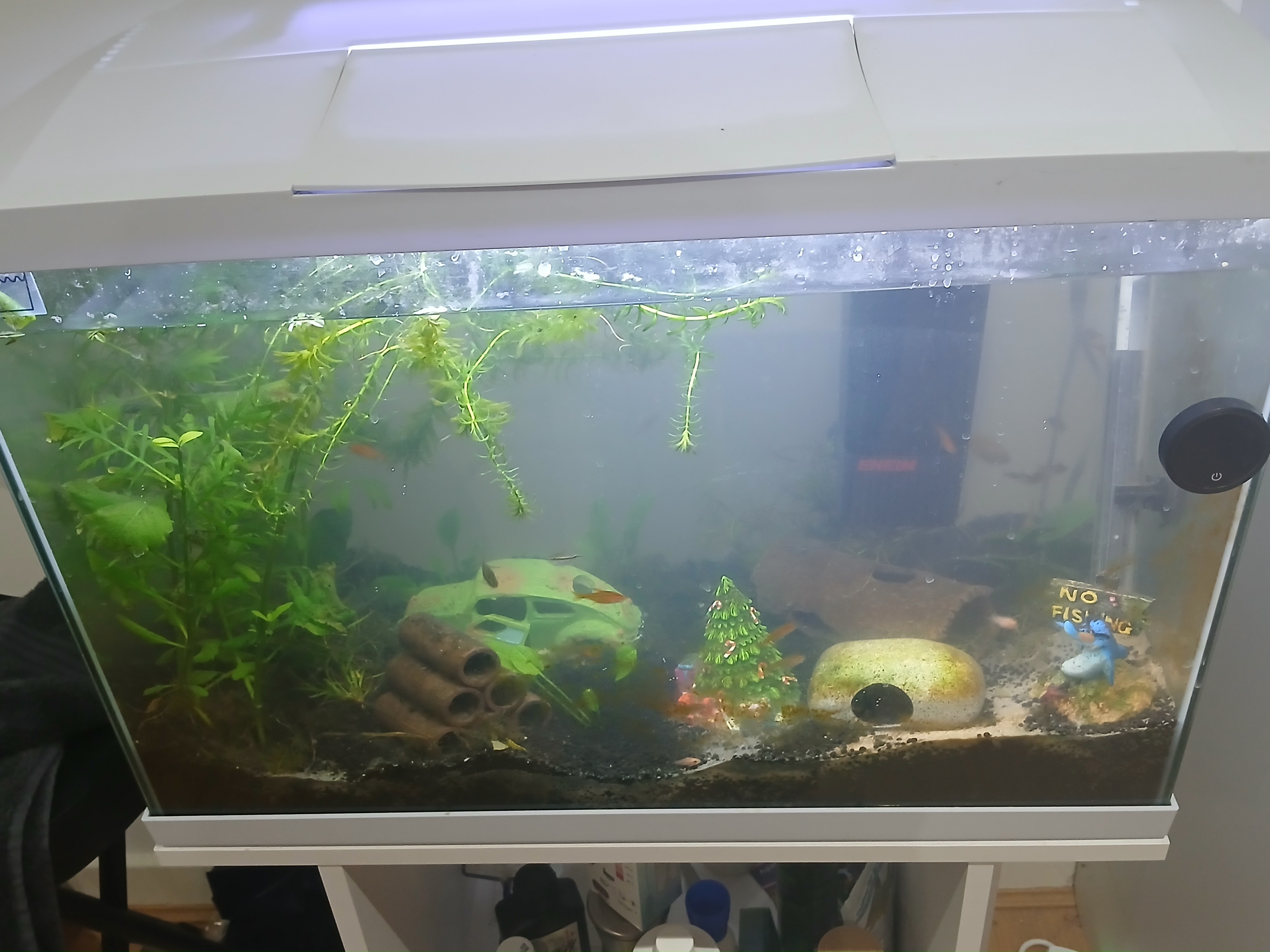 Refurbished Tank