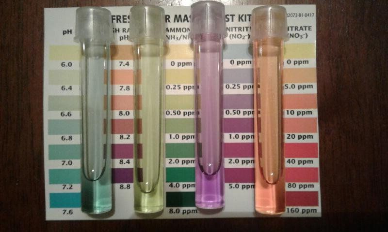 Resized_20171217_201605.jpeg