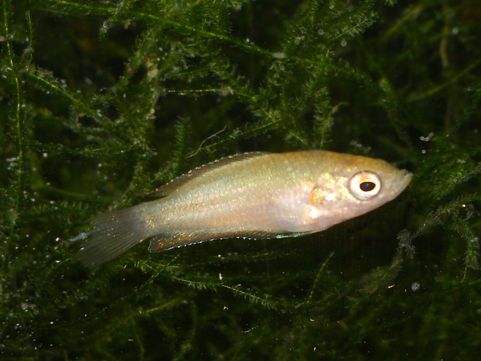 RSCN0075.JPG