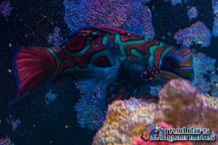 Saltwater 7-5-2020-20.jpg