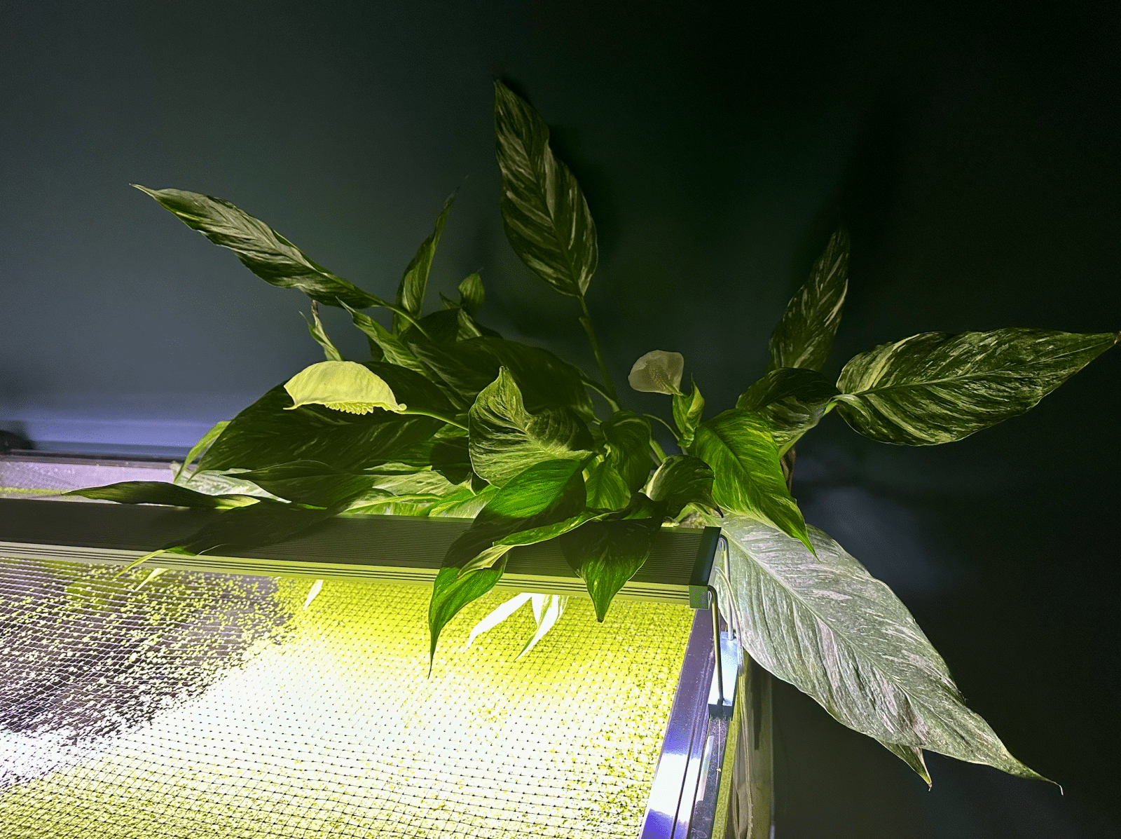 Screenshot 2023-11-27 at 20.40.16.png