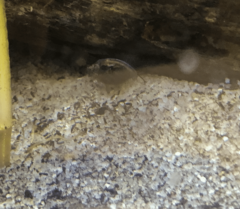 Screenshot 2024-05-14 at 10.17.18 AM.png