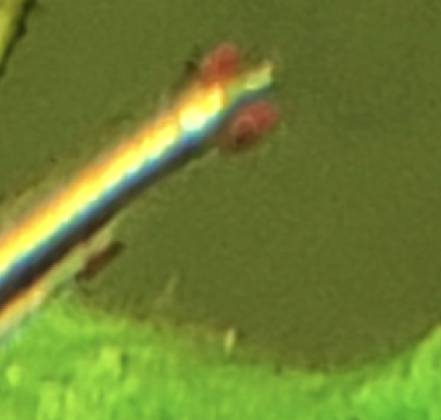 Screenshot 2025-12-01 at 3.43.36 PM.png