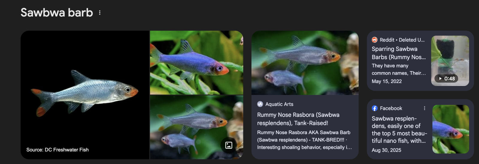 Screenshot 2026-02-19 at 12.51.12 PM.png