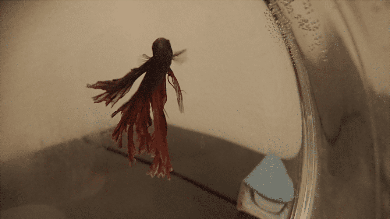 Screenshot_20190224-192635.png