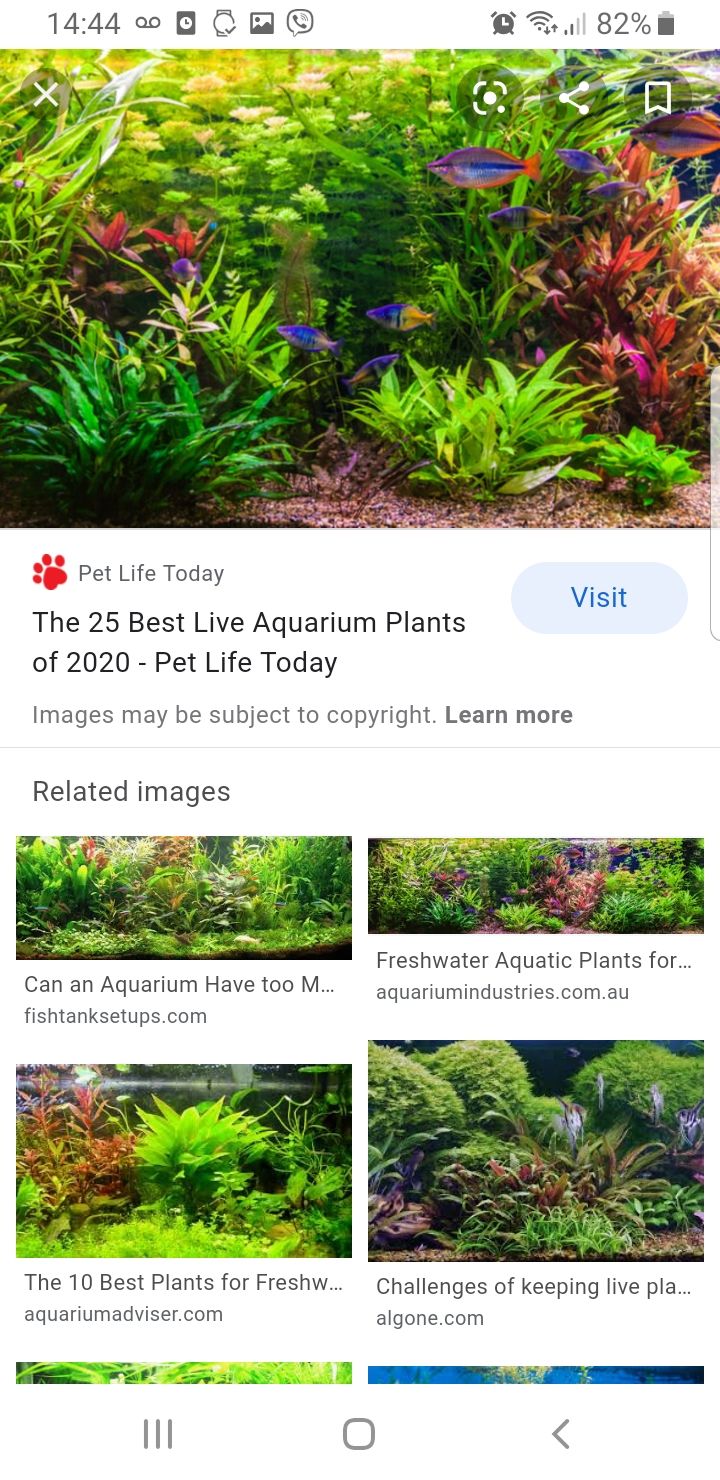 Screenshot_20200622-144405_Samsung Internet.jpg