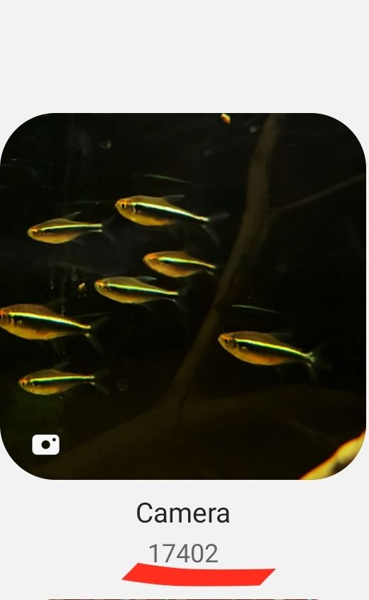 Screenshot_20200928-205251_Gallery.jpg