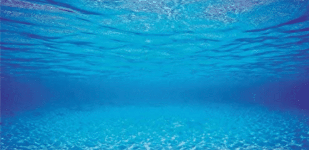 Screenshot_20220131-143412~2.png