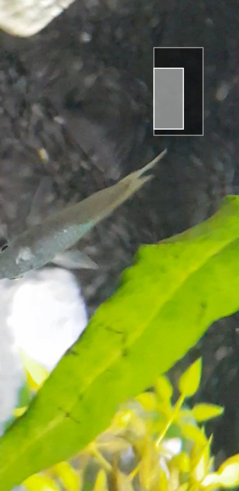 Screenshot_20220609-070011_Video Player.jpg
